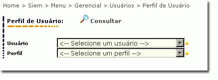 telacompleta_perfisdeusuario